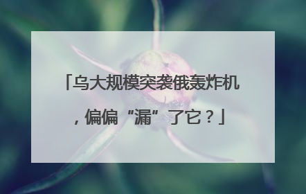 乌大规模突袭俄轰炸机，偏偏“漏”了它？
